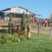 Foothill Farms of Cuyama dba SZ Ranch