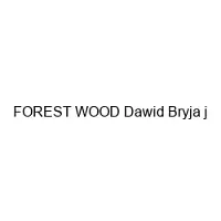 FOREST WOOD Dawid Bryja j