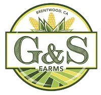 GhiggeriStonebarger, dba GS Farms