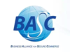 Business Alliance For Secure Commerce