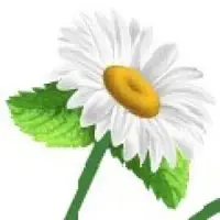 Pure Land for ExportImport