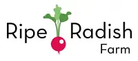 Ripe Radish
