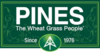 PINES INTERNATIONAL, INC