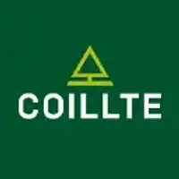 Coillte Cuideachta Ghníomhaíochta Ainmnithe