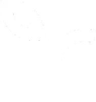 Rooted Wisconsin, - Troy Farm