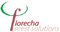 Florecha, Forest Solutions