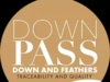 Downpass