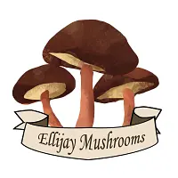 Evergrow Enterprise dba Ellijay Mushrooms