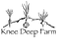 Producer: Eliza Steffens