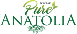 Pure Anatolia