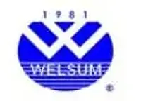 Welsum Technology