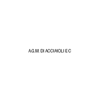 A.G.M. Di Acciaioli E C