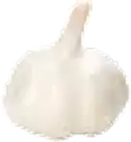 s Garlic Market
