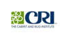 CARPET AND RUG INSTITUTE