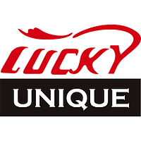 LUCKY UNIQUE ENTERPRISE