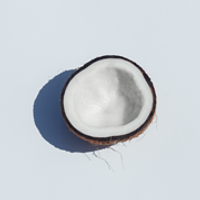 Green Enterprises Indonesia