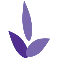 NNS ORGANICS