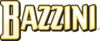 BAZZINI LLC