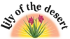 LILY OF THE DESERT