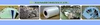 Thai Namsiri Intertex