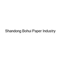 Shandong Bohui Paper Industry