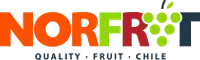 EXPORTADORA NORFRUT