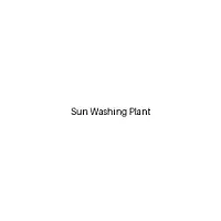 Sun Washing Plant