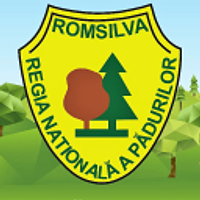 C6 Regia Nationala a Padurilor - Romsilva