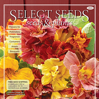 Select Seeds