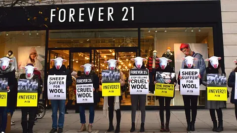PETA Urges Forever 21 to Embrace Ethical Fashion Practices Amid Mislabeling Controversy