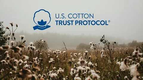 U.S. Cotton Trust Protocol Achieves Remarkable Growth and Sustained Progress Across Sustainability Metrics